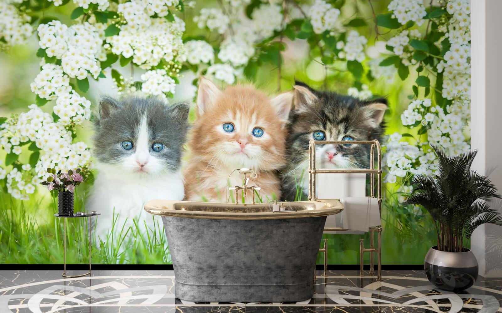 Фотошпалери кошенята на квітучому лузі