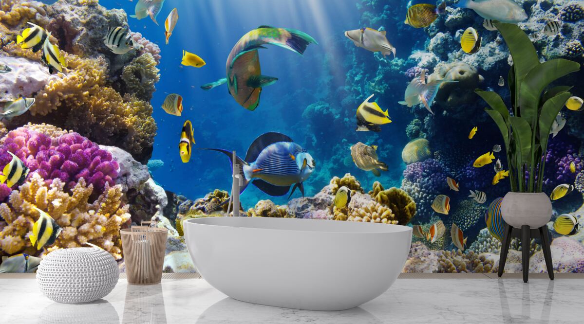 Фотошпалери яскраві рибки та підводні рослини