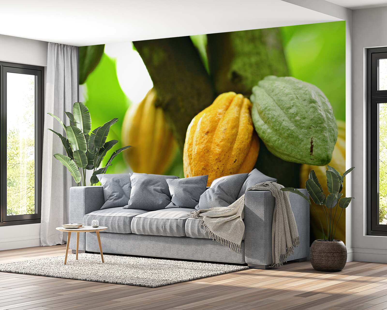 Фотошпалери стиглі какао-боби на дереві