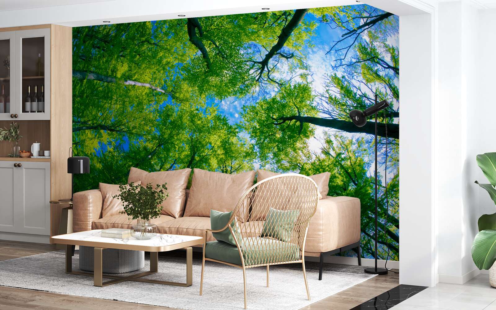 Фотошпалери смарагдовий ліс на тлі блакитного неба