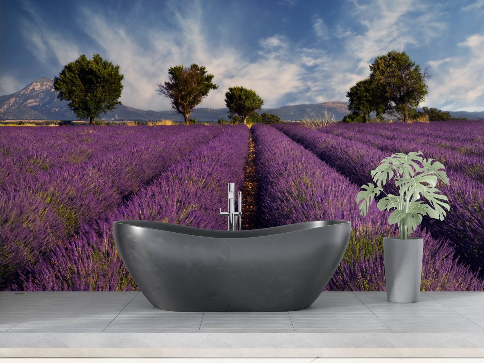 Фотошпалери запашні лавандові поля