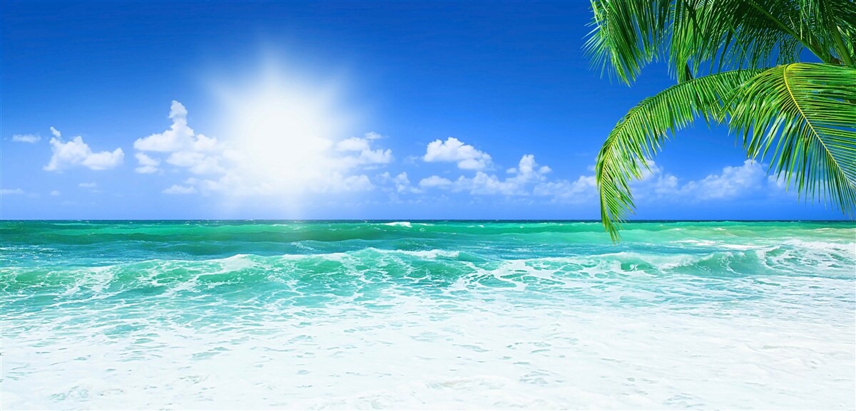 Фотошпалери тропічні припливи вдень