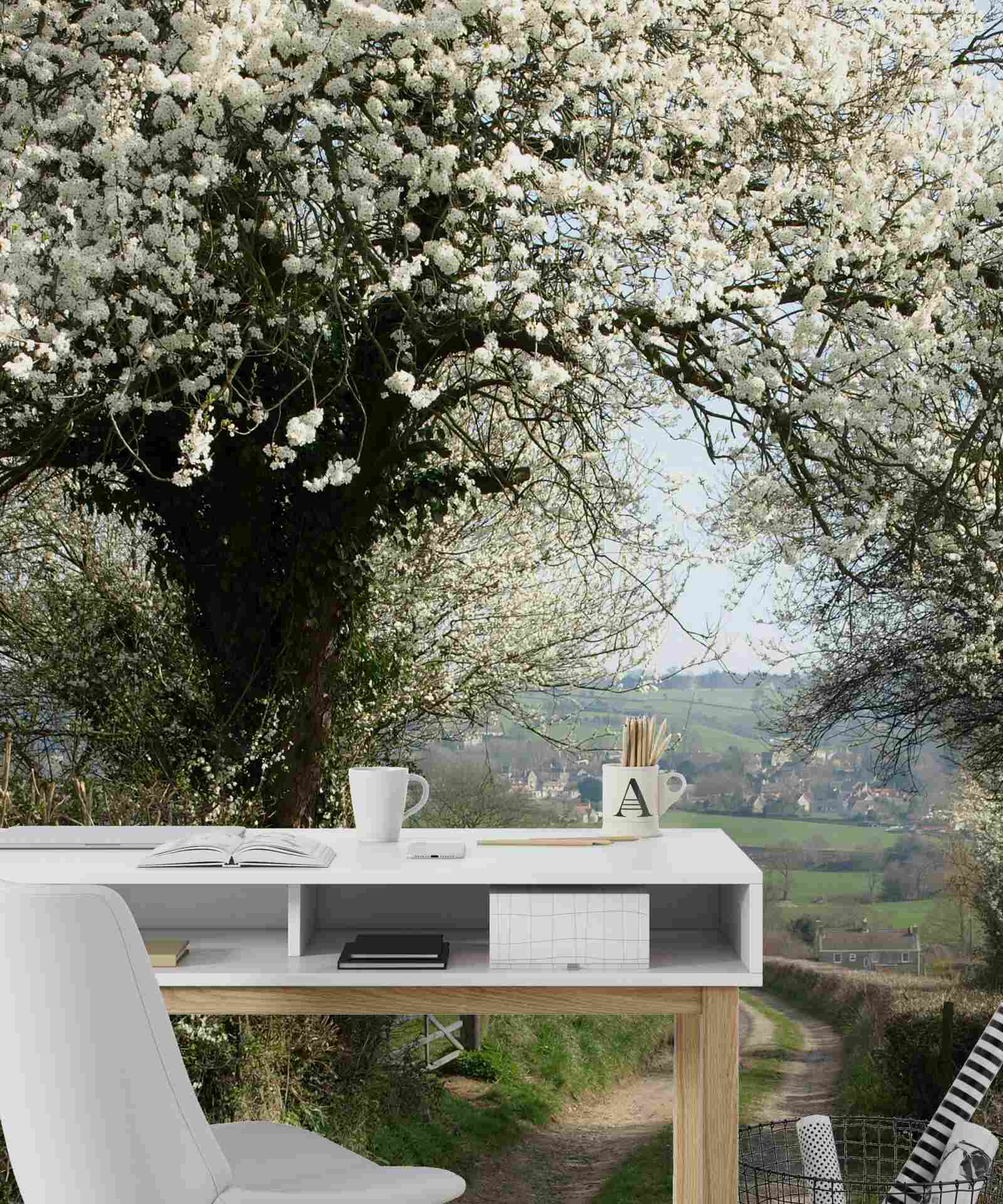 Фотошпалери сільська дорога