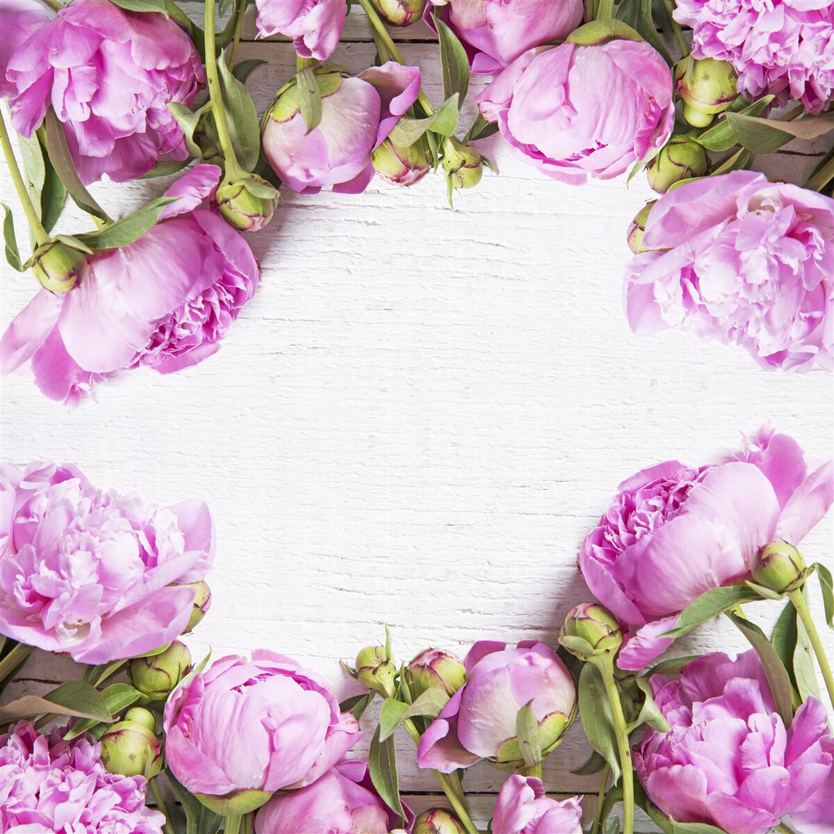 Фотошпалери фіолетові квіти в оздобленні