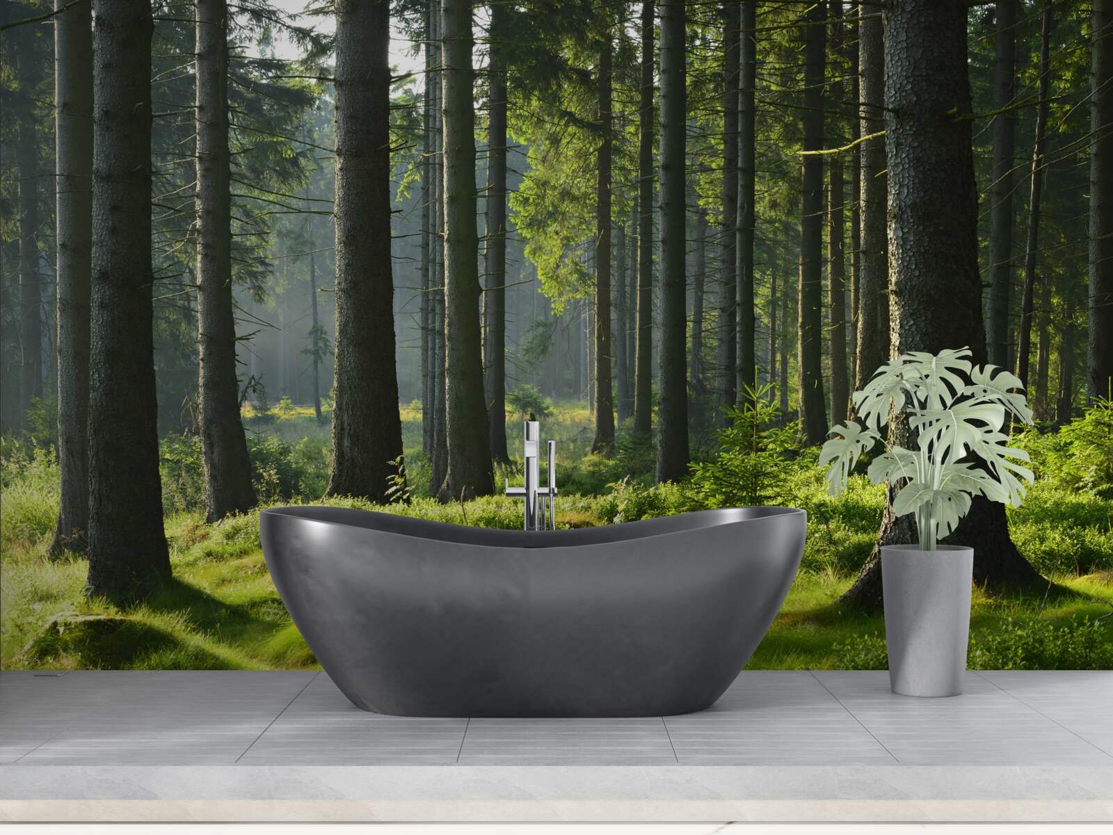 Фотошпалери високі старі дерева та зелений мох