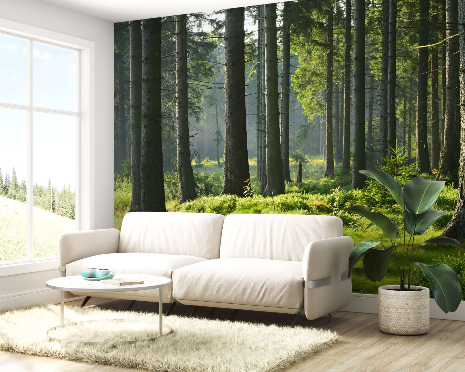 Фотошпалери високі старі дерева та зелений мох