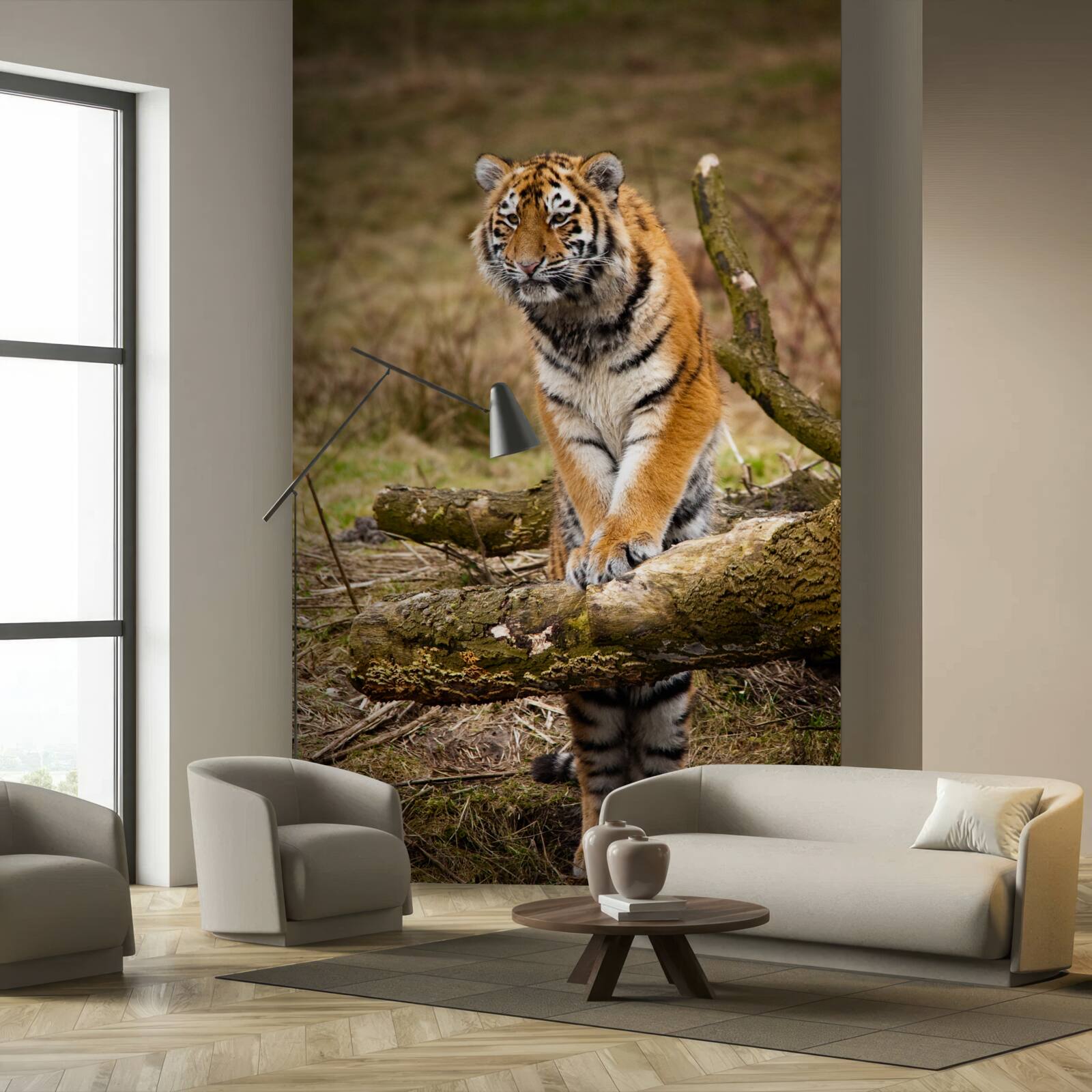 Фотошпалери тигр сидить на гілці і чекає на здобич