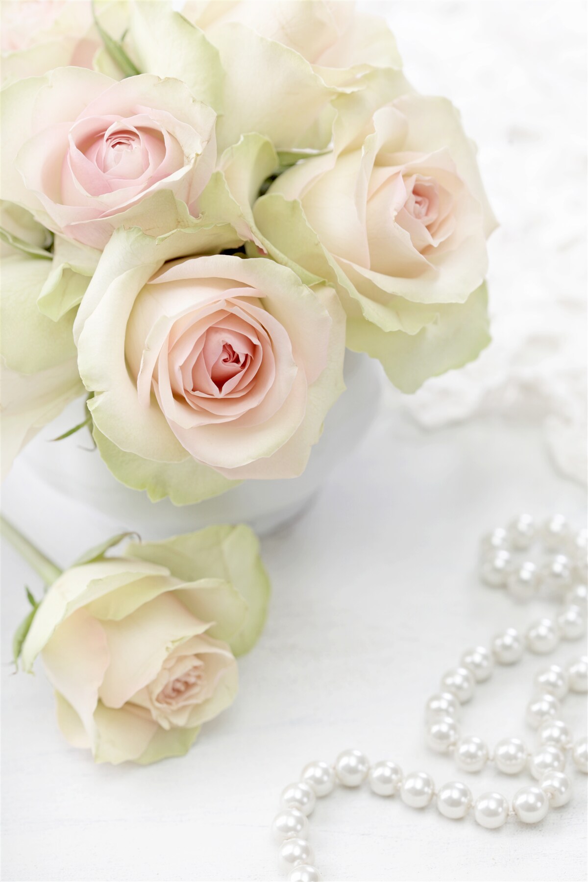 Фотошпалери композиція з ніжних ніжно-рожевих троянд і перлин