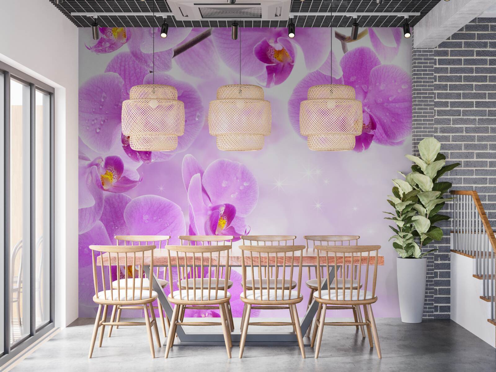 Фотошпалери на гілці зацвіли великі фіолетові орхідеї