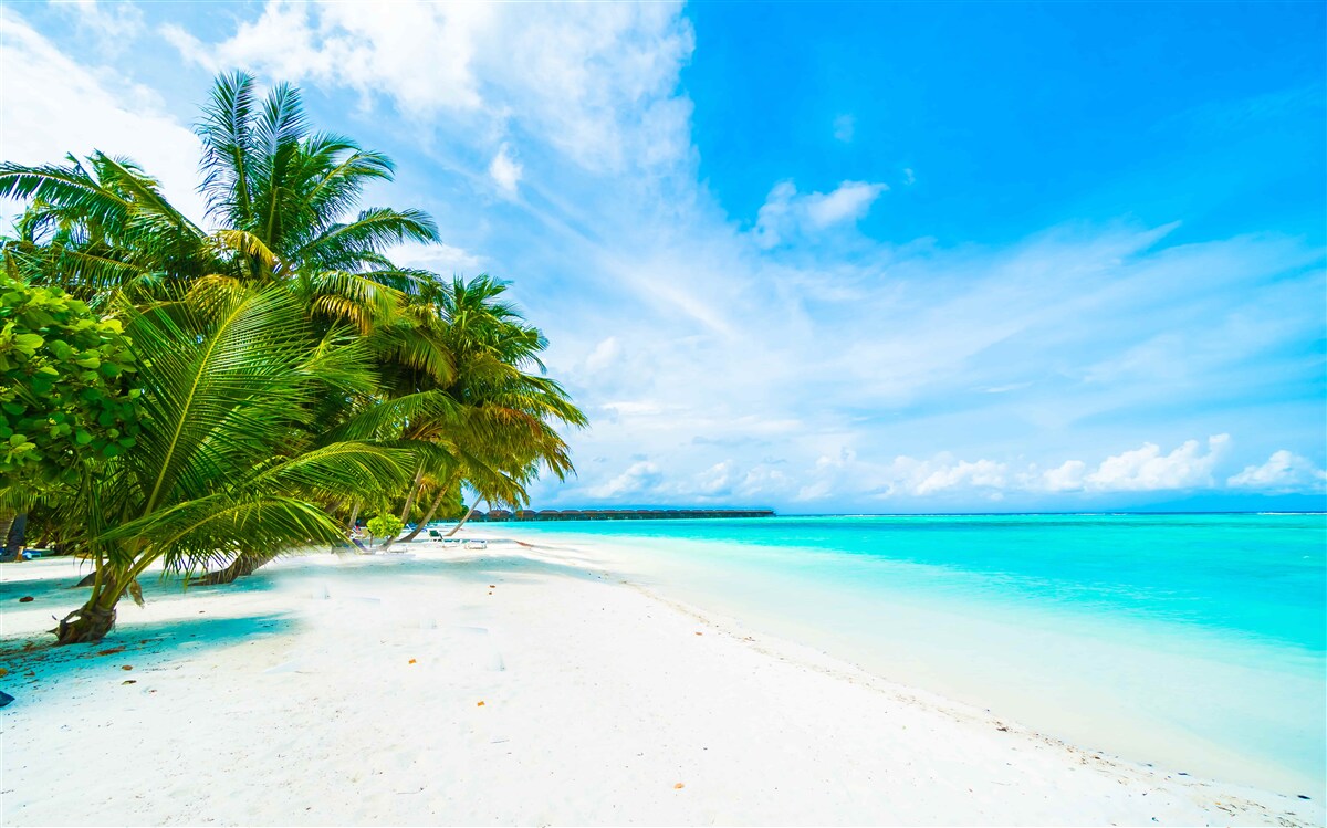Фотошпалери піщані береги та бірюзова вода океану