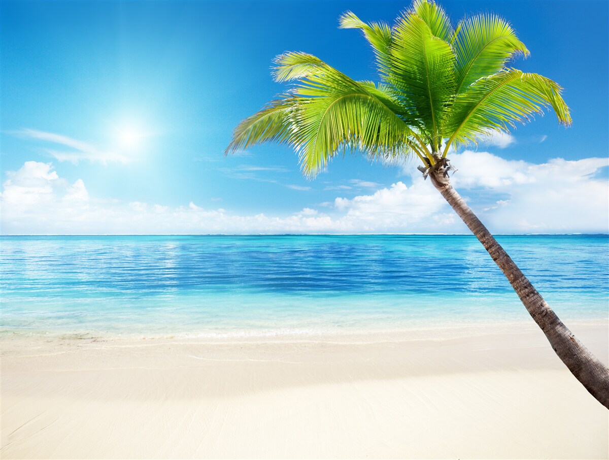 Фотошпалери яскравий сонячний день на березі моря в тропіках