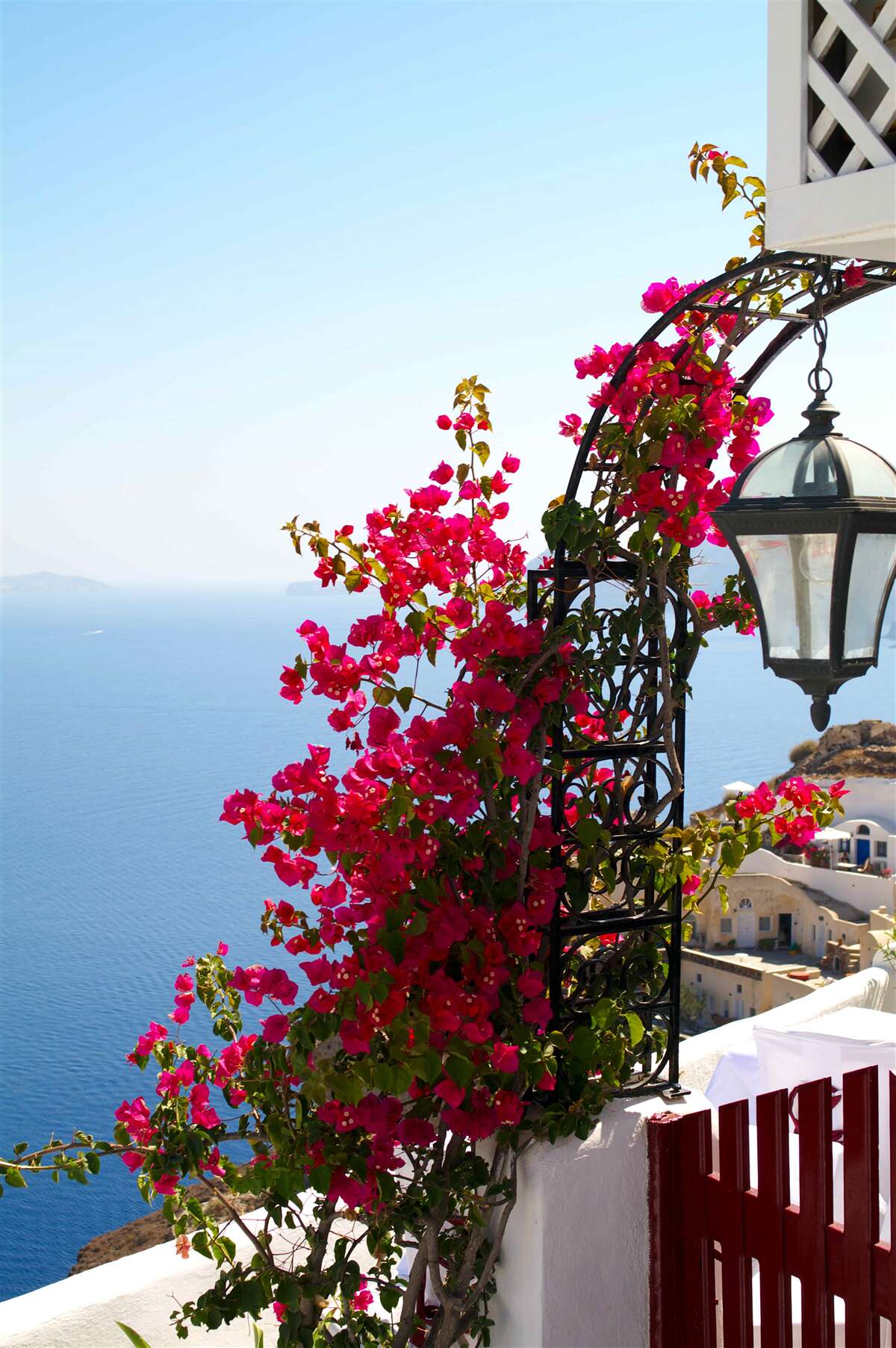 Фотошпалери Арка біля ставка, вкрита квітучими червоними квітами