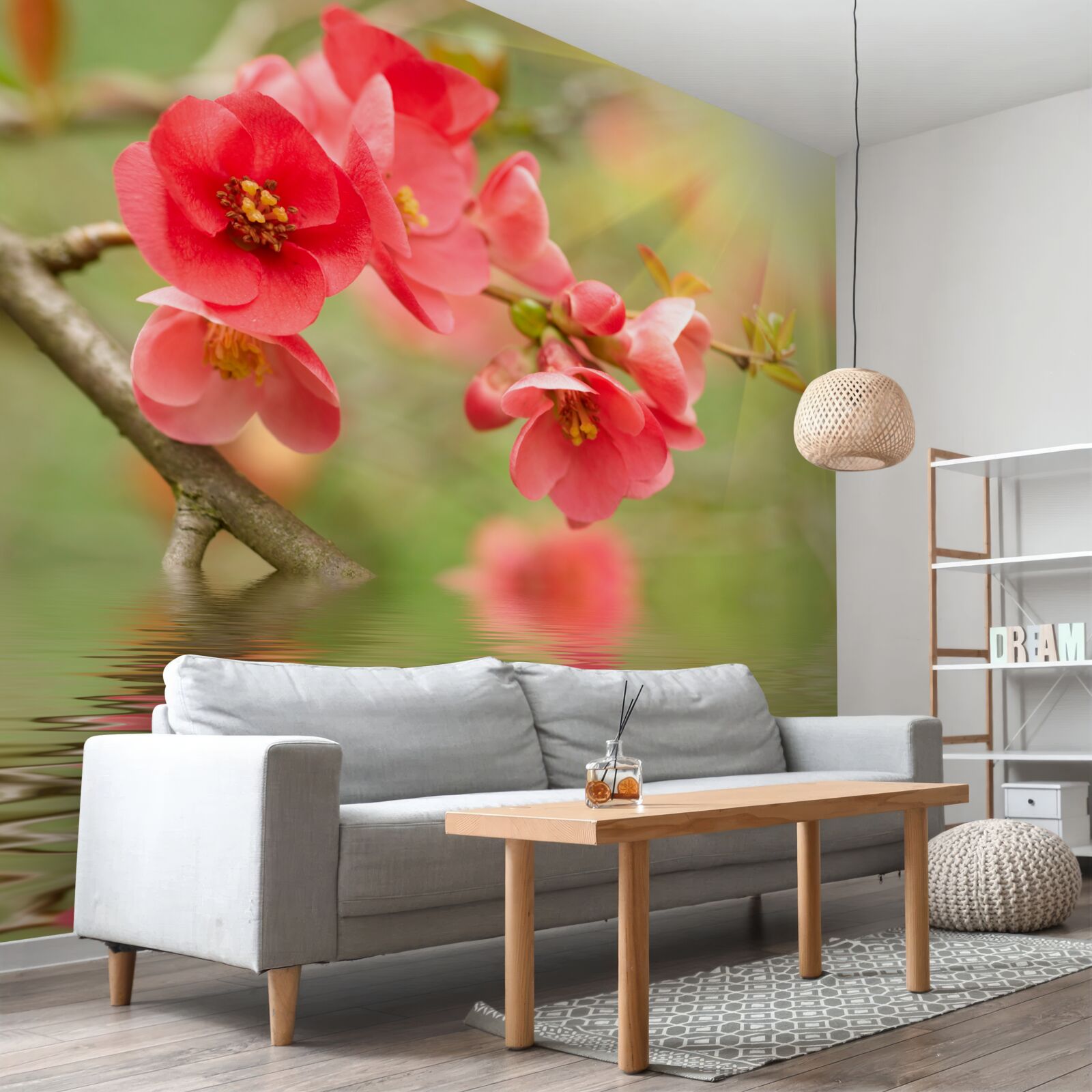 Фотошпалери багряні квіти сакури виблискують над водою в сонячний день