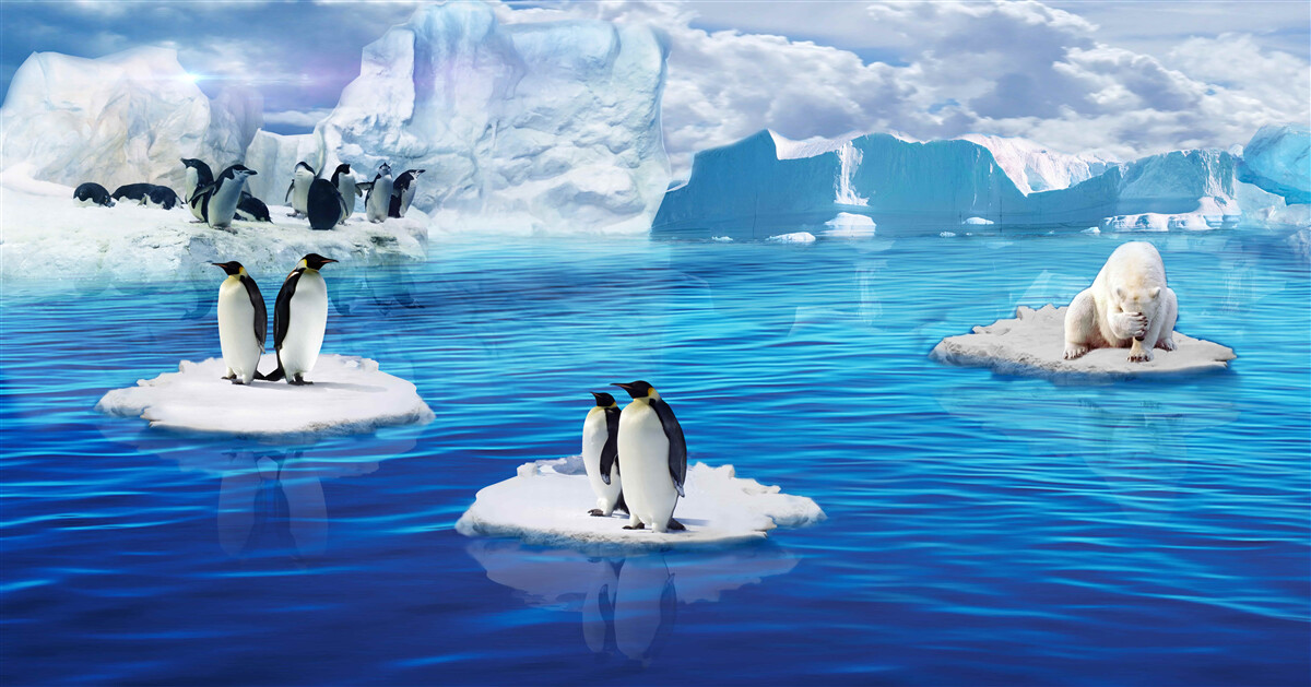 Фотошпалери сім'ї пінгвінів на крижаних платформах