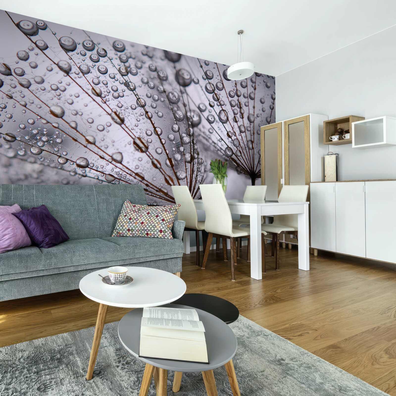 Фотошпалери краплі роси, залишені на квітах кульбаби