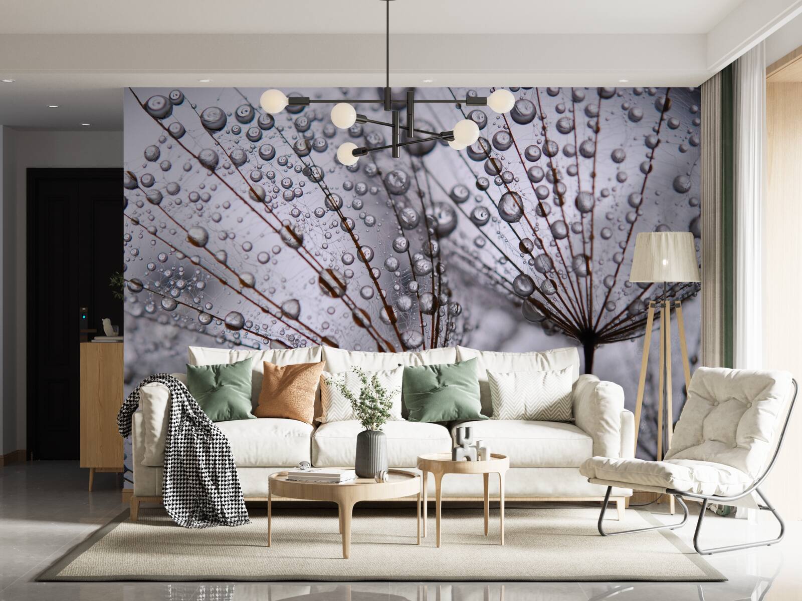 Фотошпалери краплі роси, залишені на квітах кульбаби