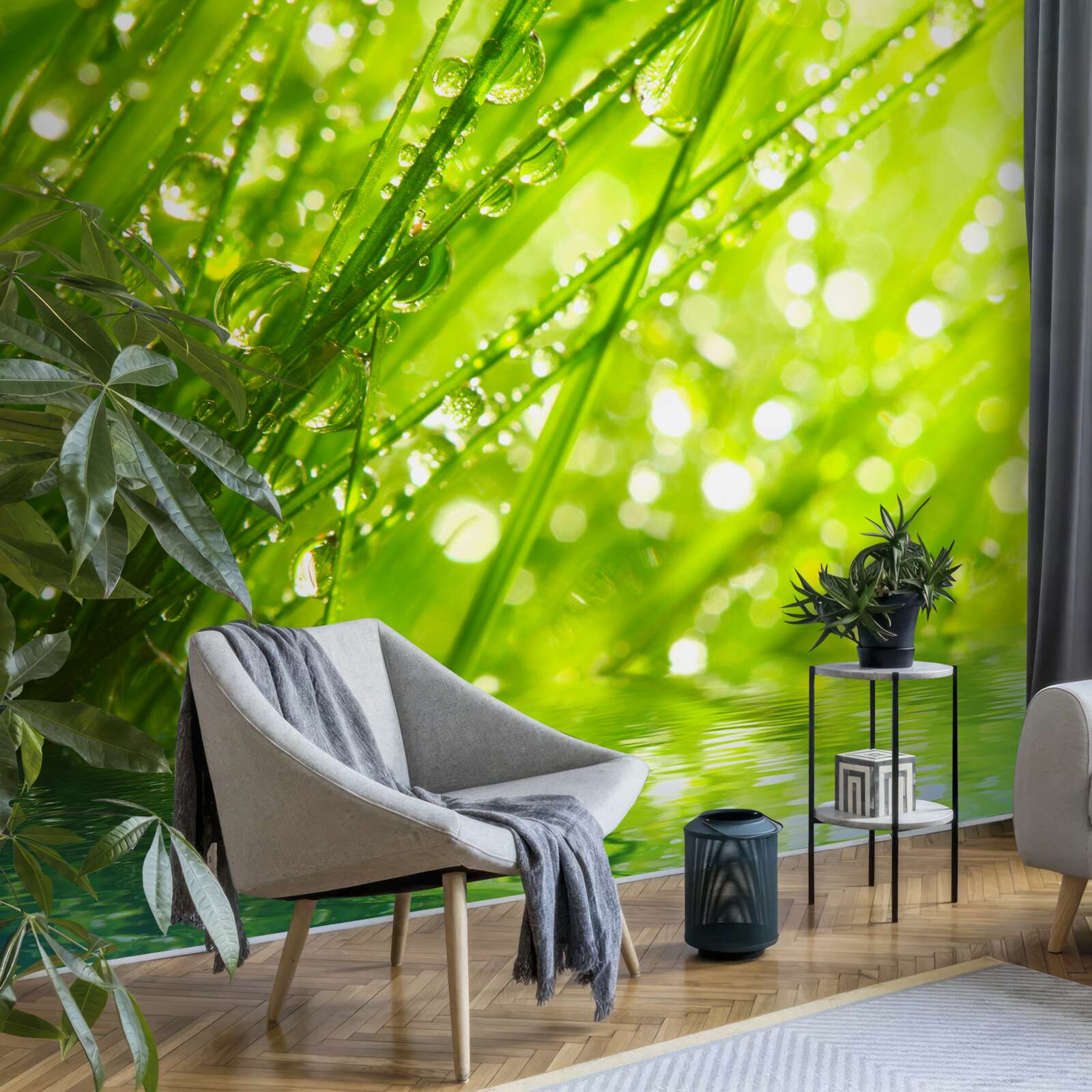 Фотошпалери великі краплі роси на гілках біля води