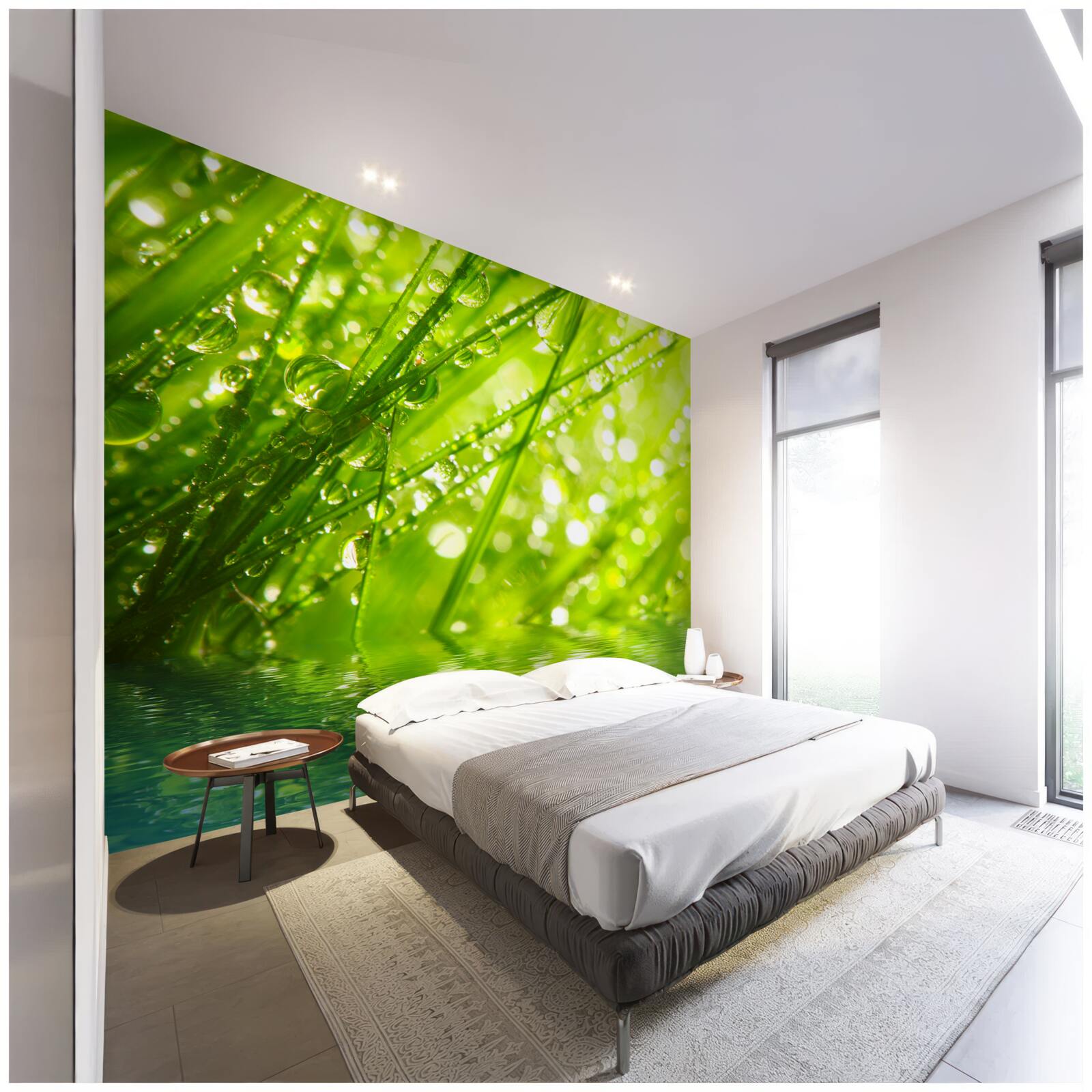 Фотошпалери великі краплі роси на гілках біля води