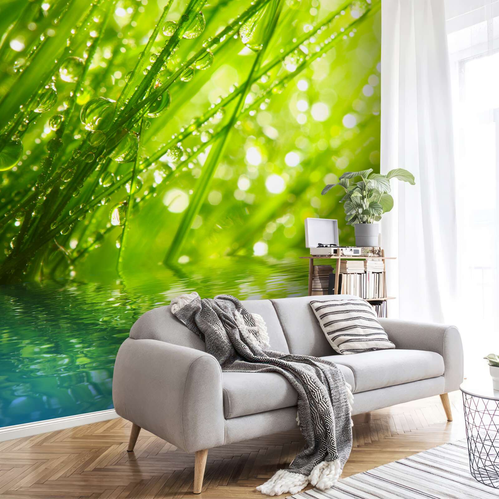 Фотошпалери великі краплі роси на гілках біля води