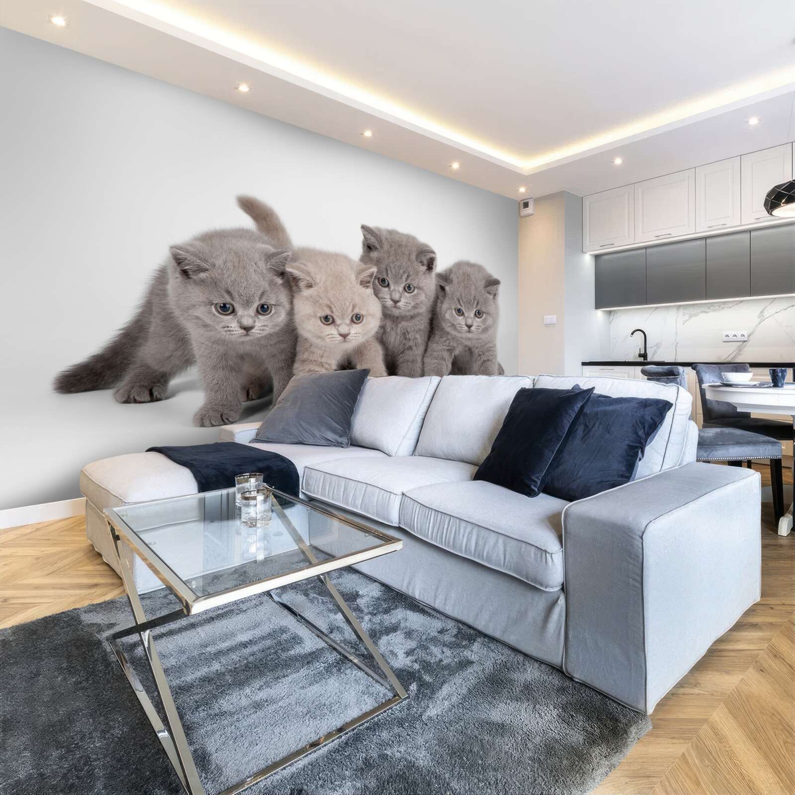 Фотошпалери чотирьох маленьких милих кошенят