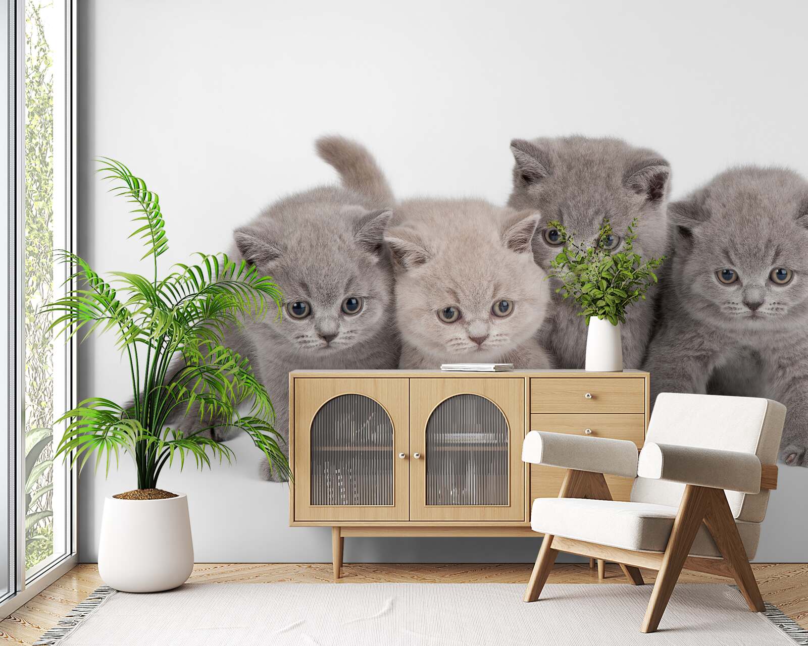 Фотошпалери чотирьох маленьких милих кошенят