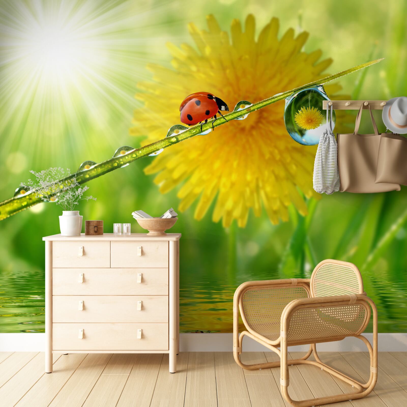 Фотошпалери велика кульбаба в краплях дощу біля води