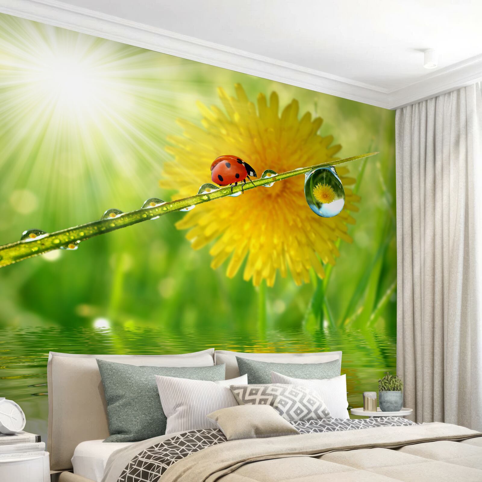 Фотошпалери велика кульбаба в краплях дощу біля води