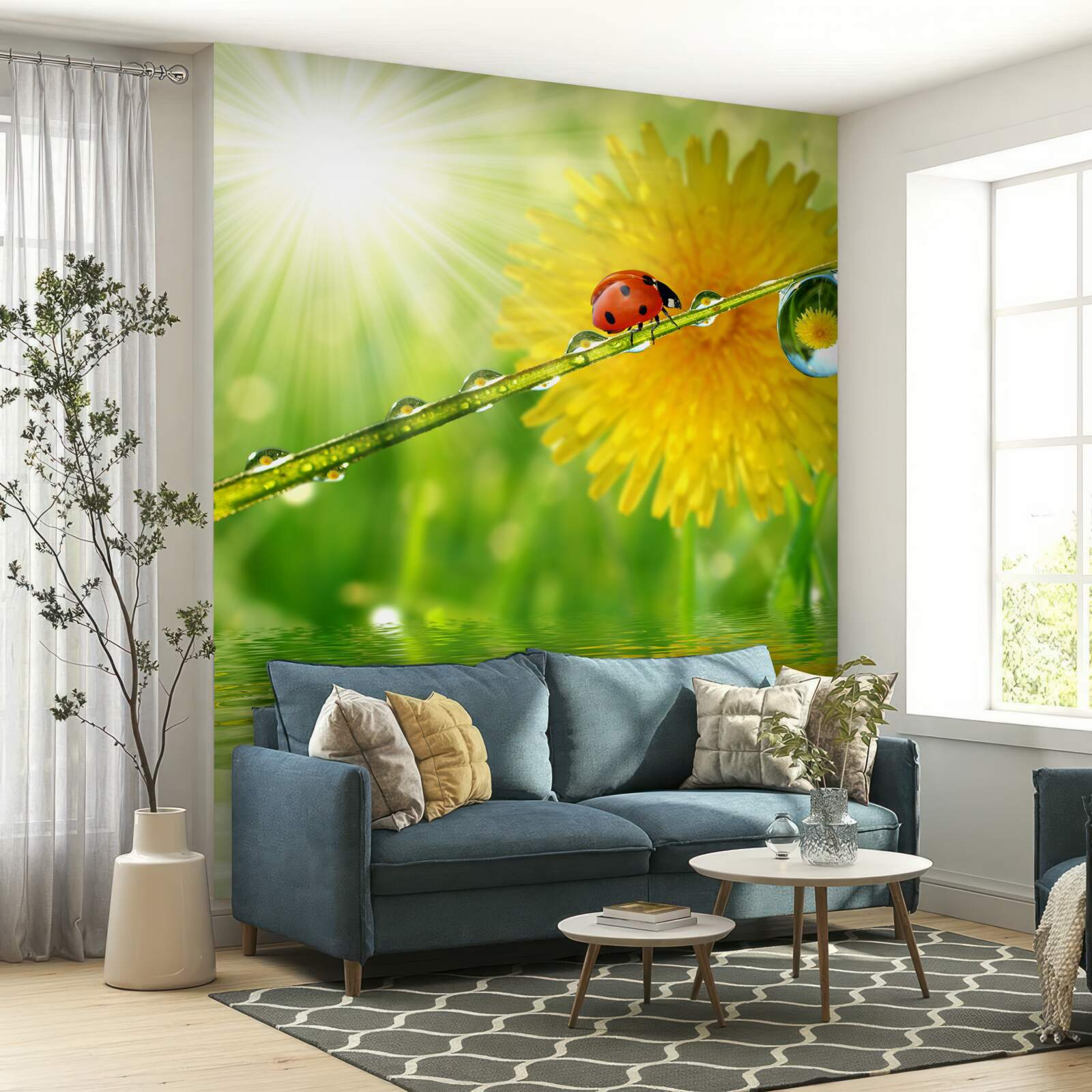 Фотошпалери велика кульбаба в краплях дощу біля води