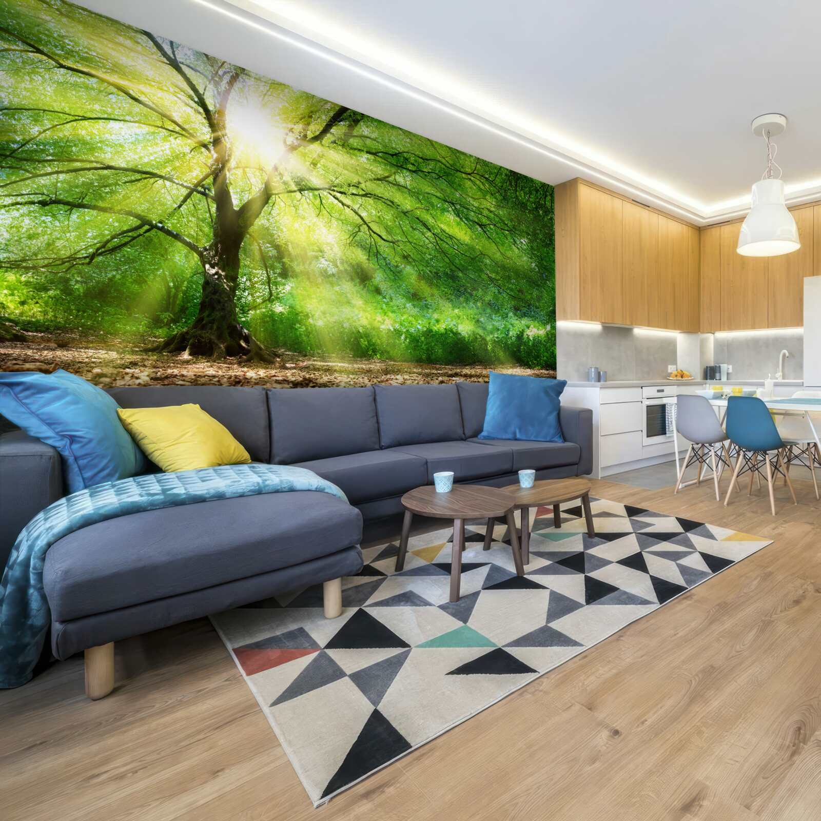 Фотошпалери крізь пишні крони дерев пробиваються світлі промені сонця