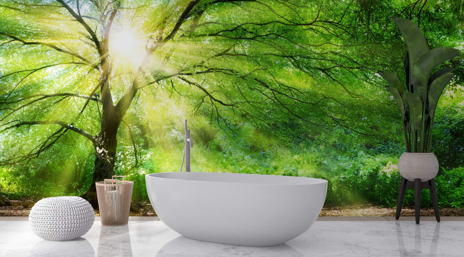 Фотошпалери крізь пишні крони дерев пробиваються світлі промені сонця