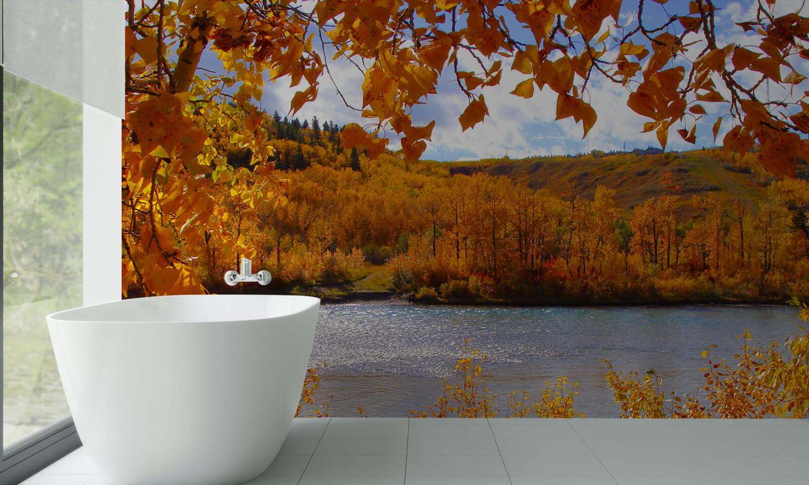 Фотошпалери золота осінь у густому лісі біля річки