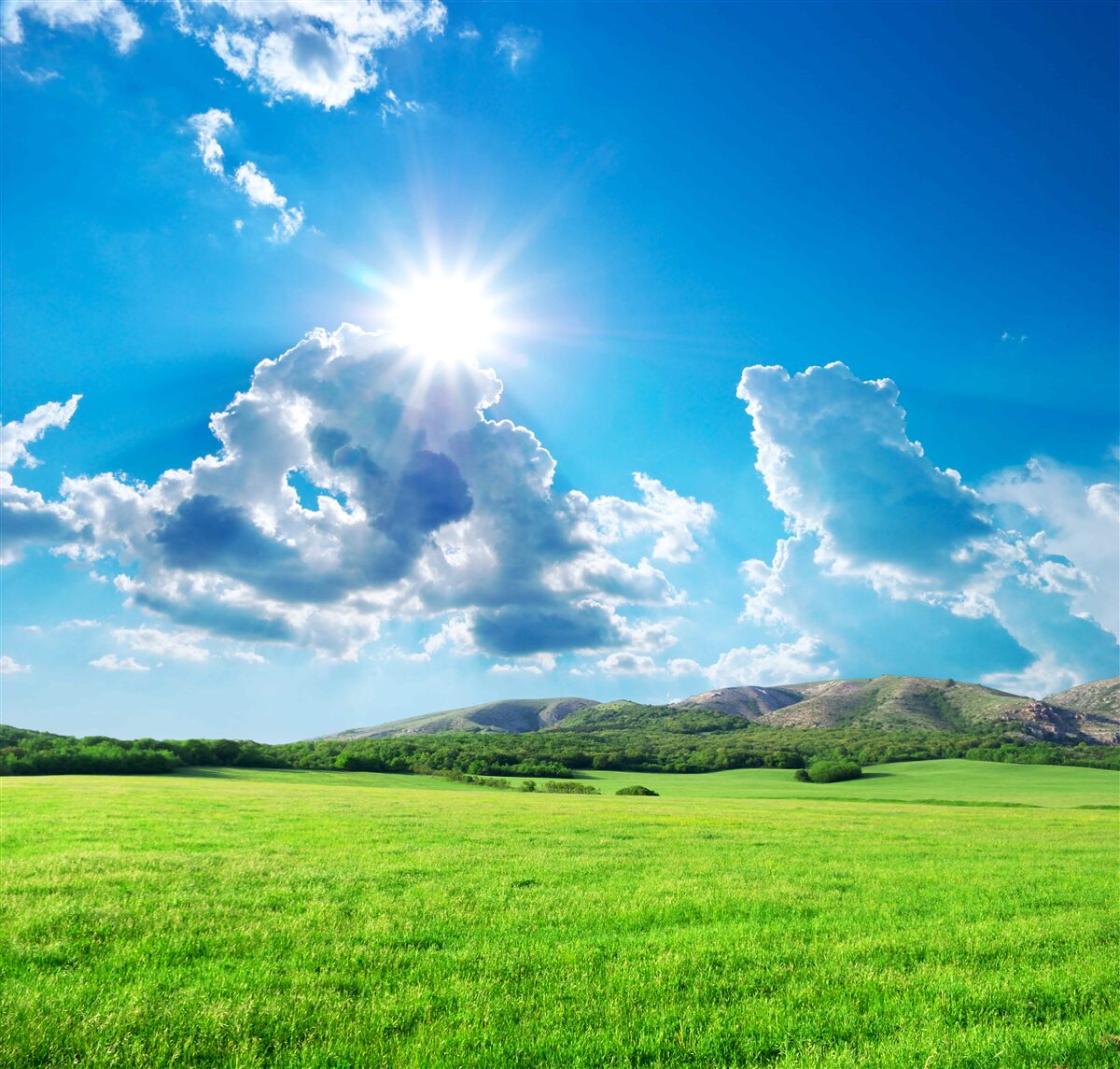 Фотошпалери яскравий літній день на лузі