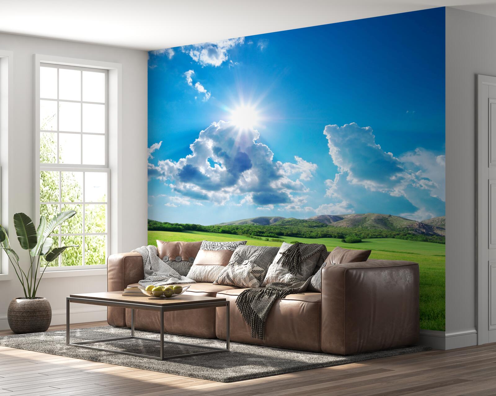 Фотошпалери яскравий літній день на лузі