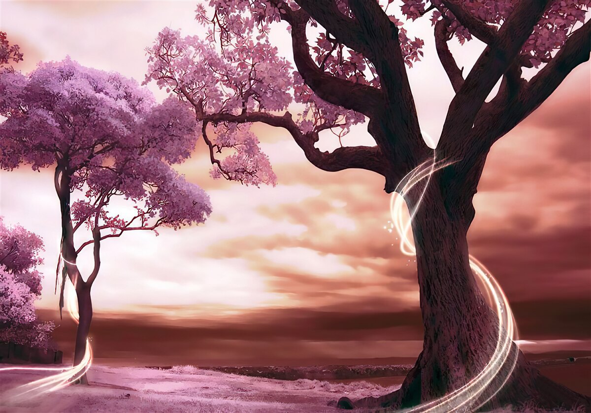 Фотошпалери стійкі дерева в пустелі, сповнені життя і краси