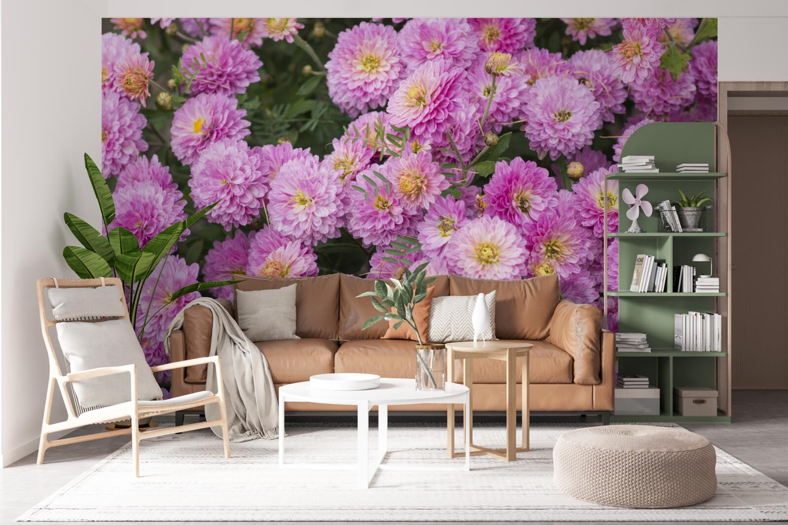 Фотошпалери красиві гербери з яскраво-бузковими ромашками