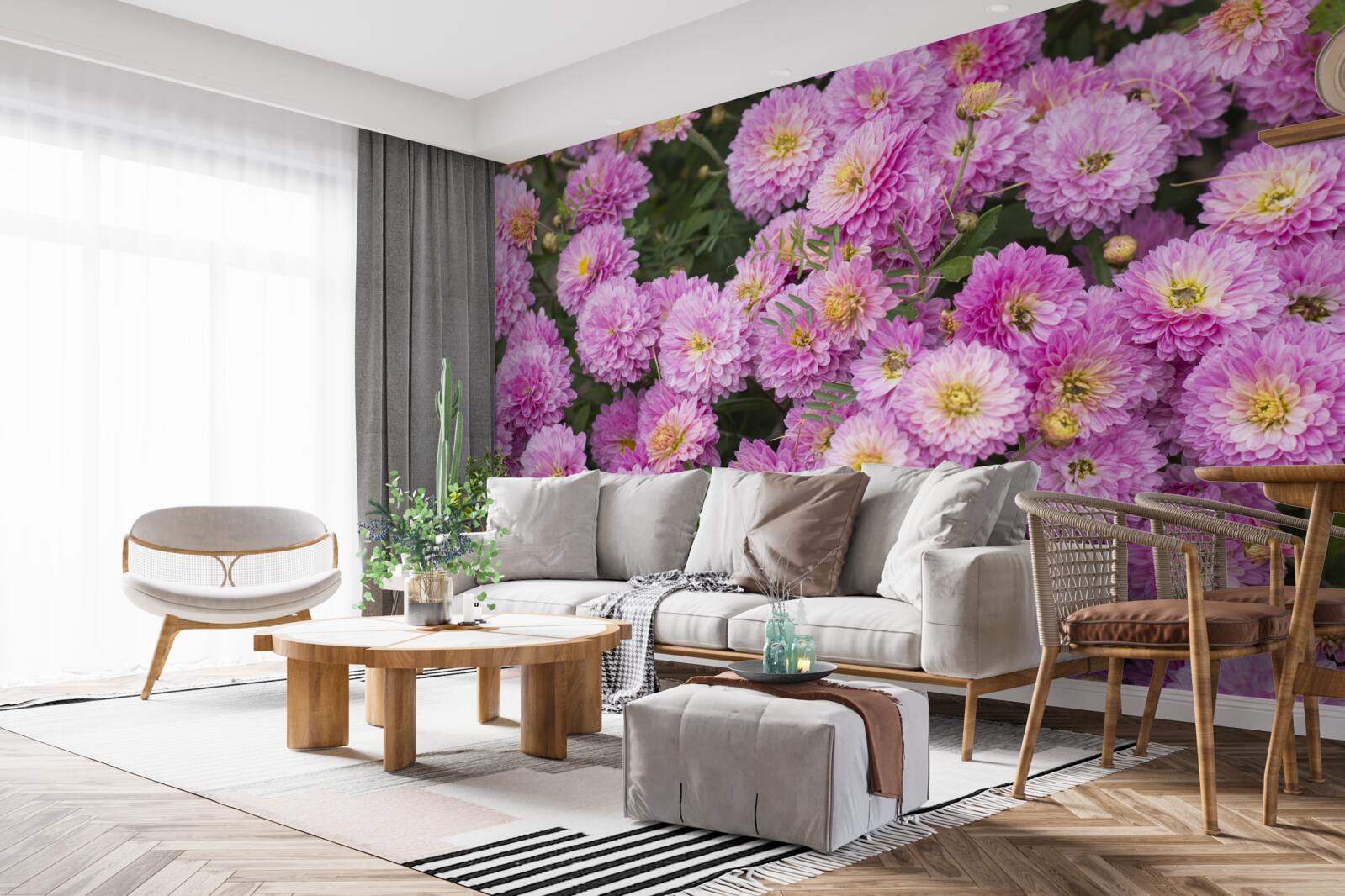 Фотошпалери красиві гербери з яскраво-бузковими ромашками