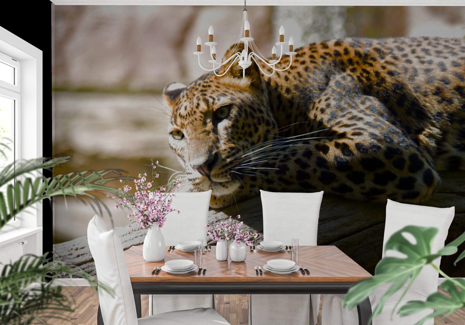 Фотошпалери пантера гріється на спекотному сонці