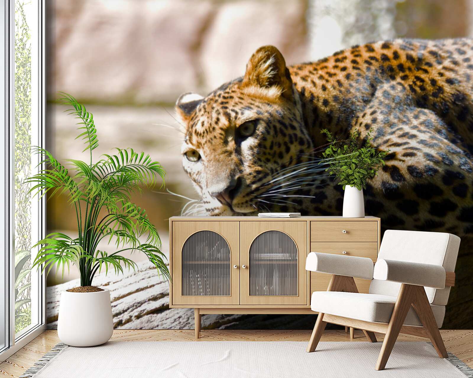 Фотошпалери пантера гріється на спекотному сонці