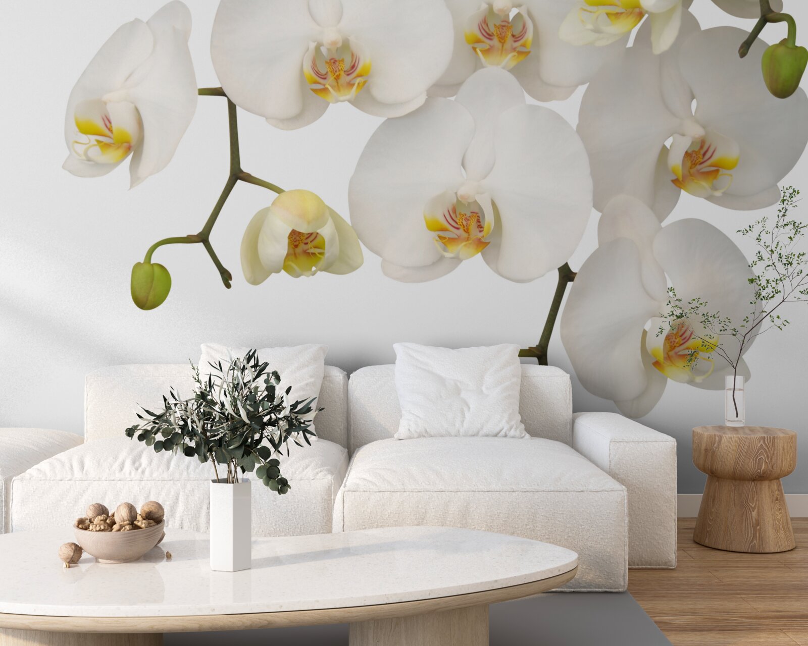Фотошпалери підвісні орхідеї з білими квітами