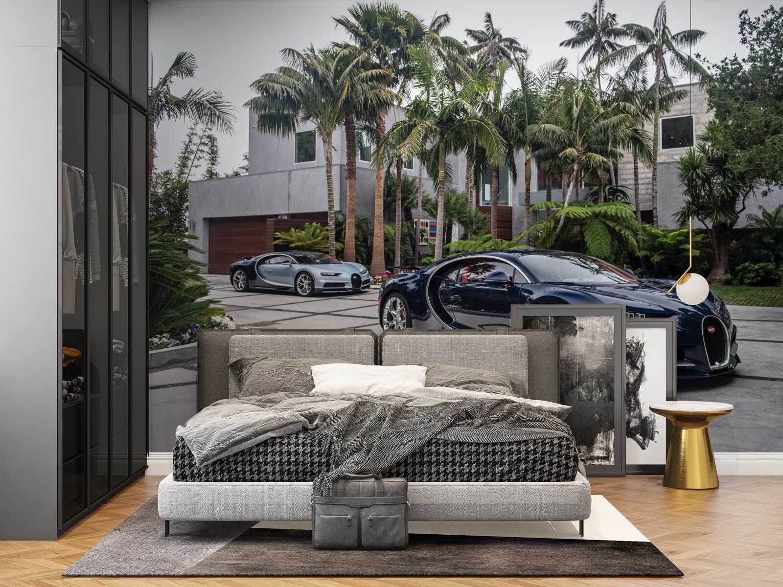 Фотошпалери перед резиденцією стояли розкішні спортивні автомобілі