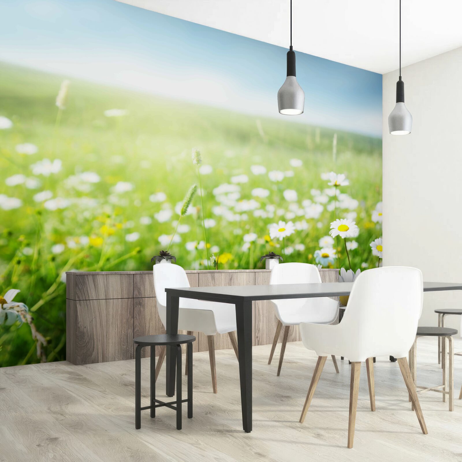 Фотошпалери білі ромашки на сонці