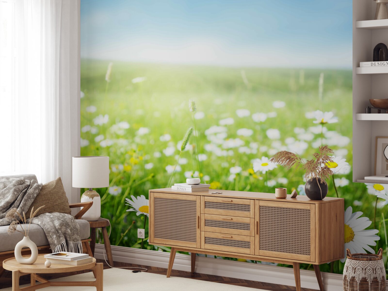 Фотошпалери білі ромашки на сонці