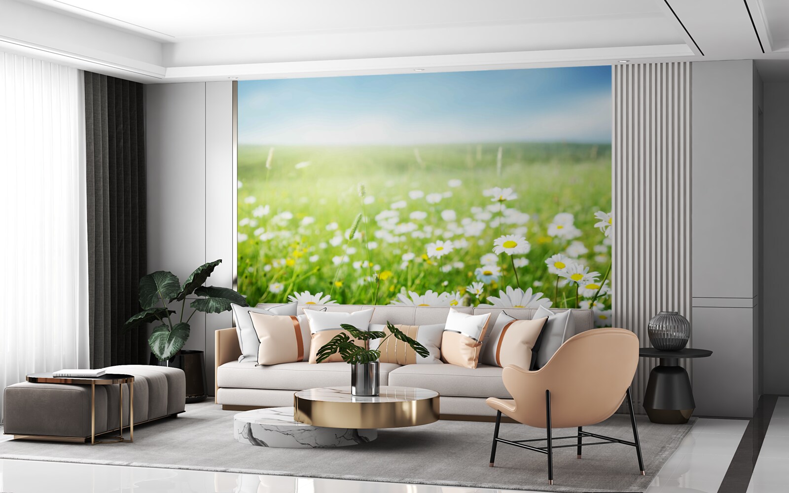 Фотошпалери білі ромашки на сонці