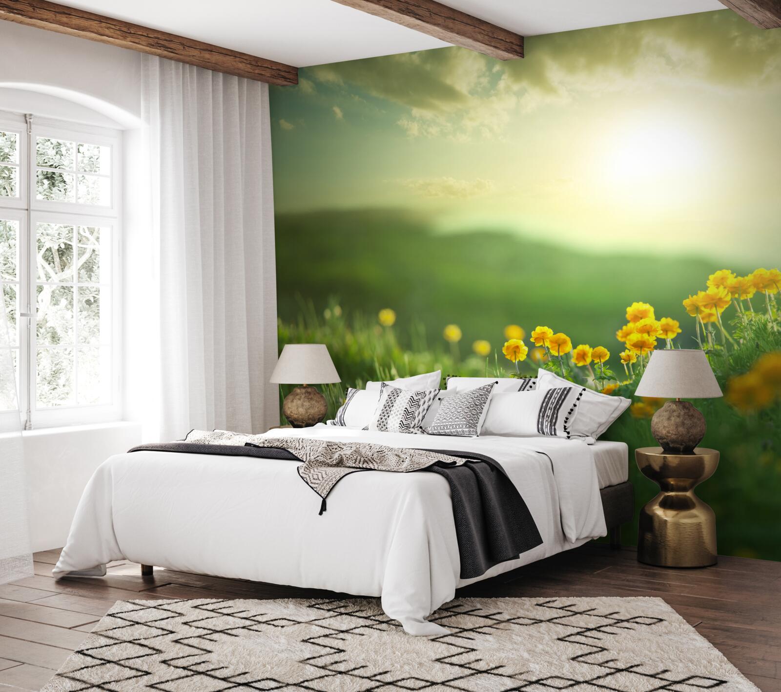 Фотошпалери на лузі золоті кульбаби зустрічають схід сонця