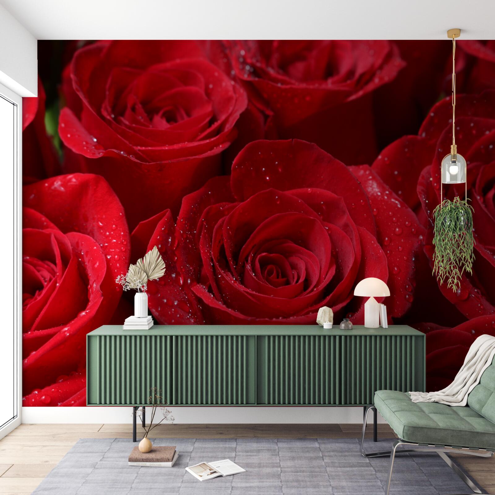 Фотошпалери бутони троянд насиченого червоного відтінку