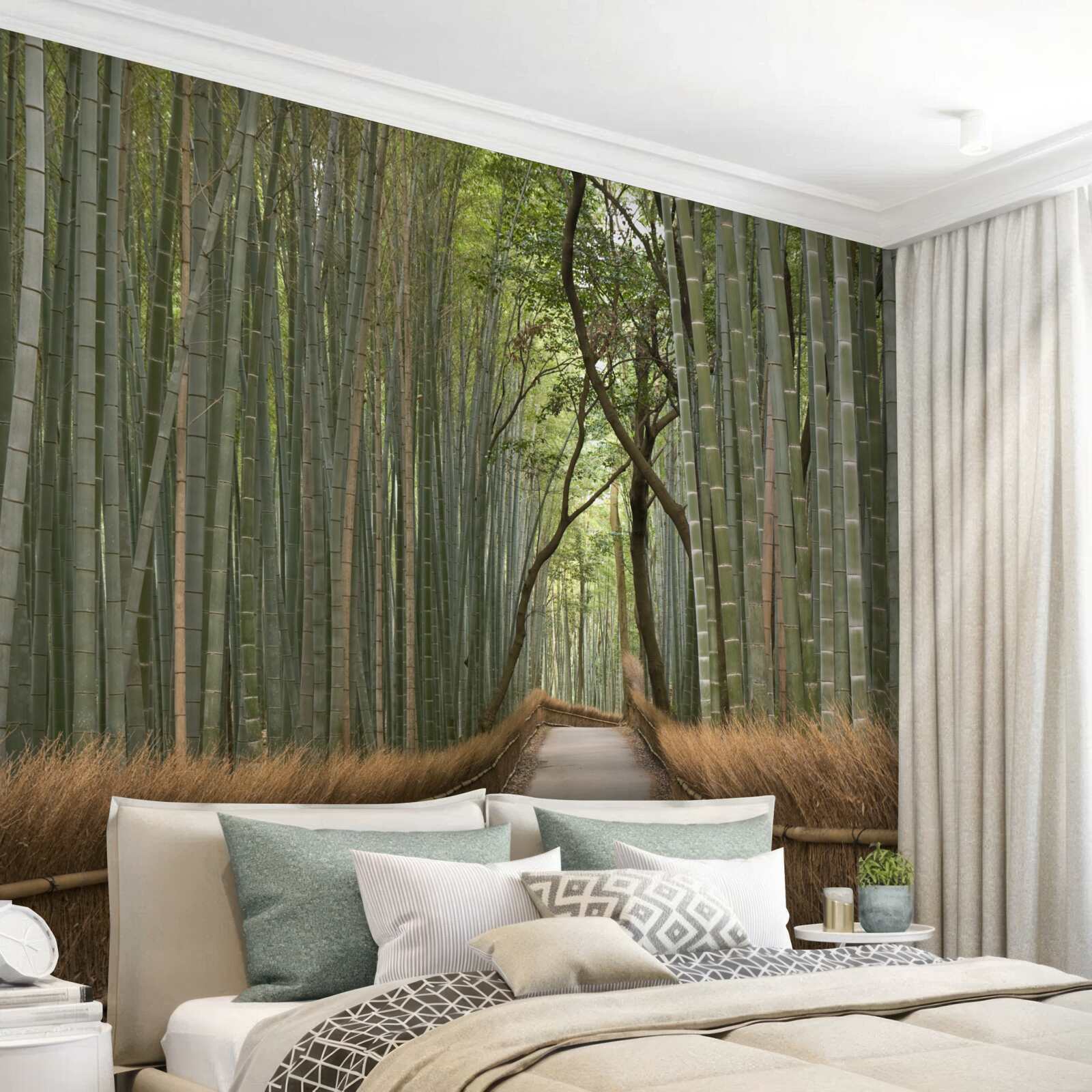 Фотошпалери самотня вузька стежка в'ється через бамбуковий ліс