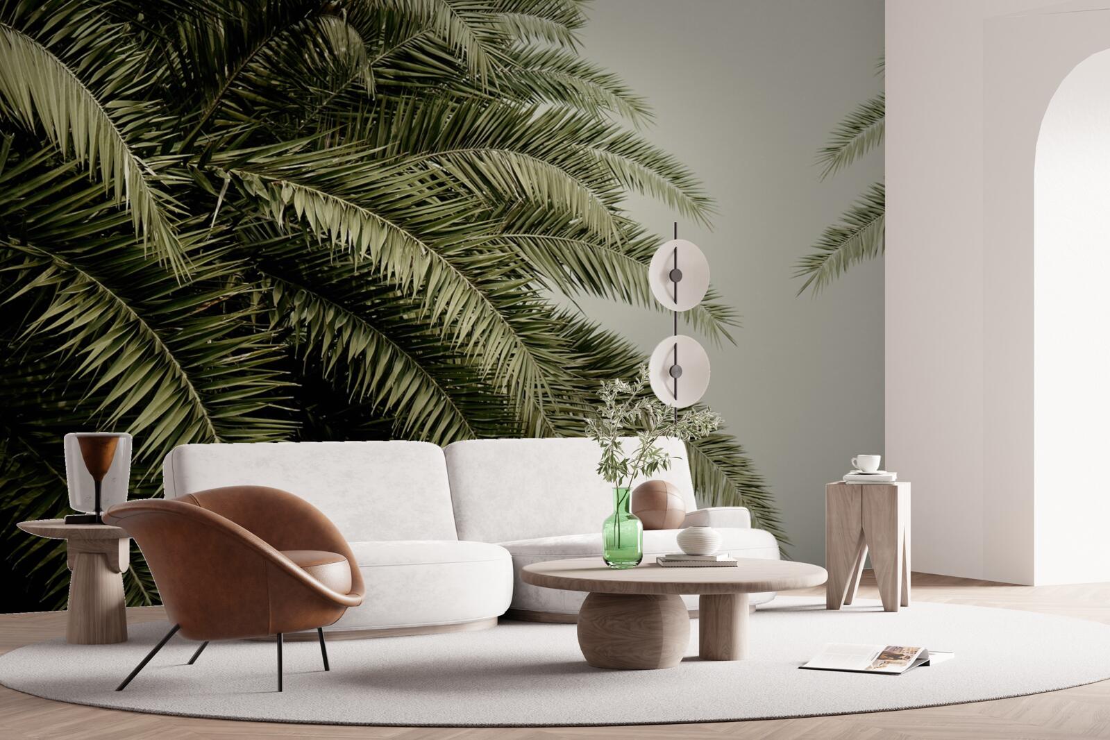 Фотошпалери листя папороті густо вкрите вологою під час дощу