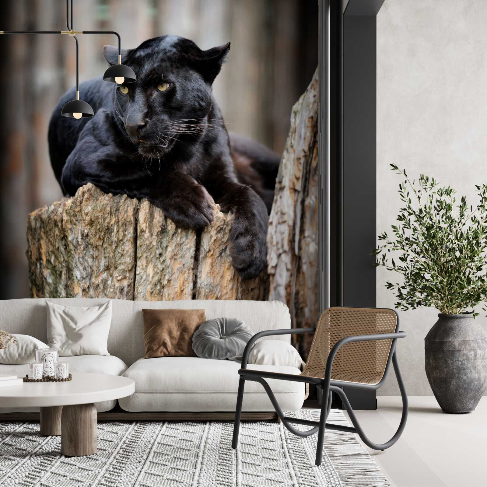 Фотошпалери чорна пантера сидить на дереві