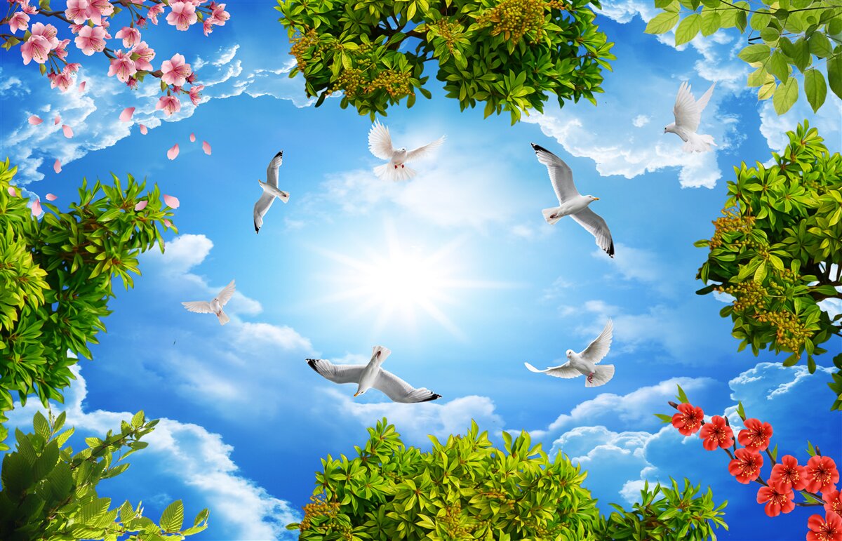 Фотошпалери птахи в лісі насолоджуються сонячним днем