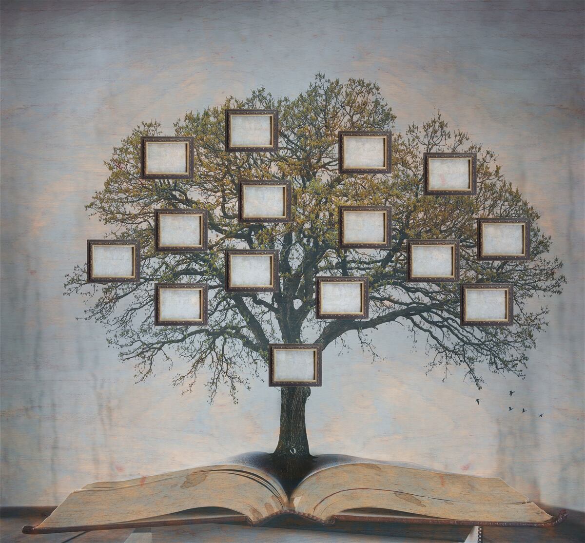 Фотошпалери генеалогічне дерево без фотографій